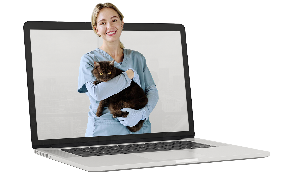 SEO services for Veterinarians